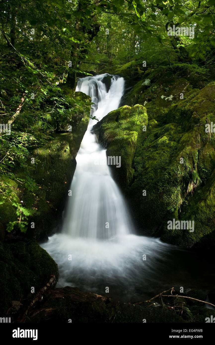 Stock Ghyll Force, Ambleside, Cumbria Lake District Banque D'Images
