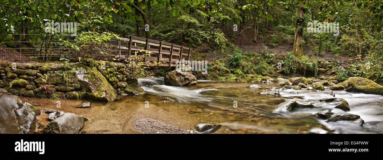 Stock Ghyll Force, Ambleside, Cumbria Lake District Banque D'Images