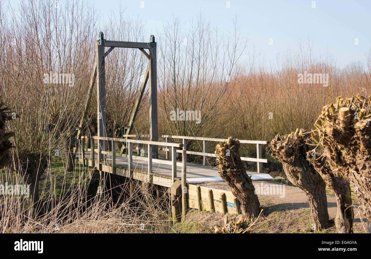 Espace nature en Hollande avec des saules et pont-levis en bois et petite rivière Banque D'Images