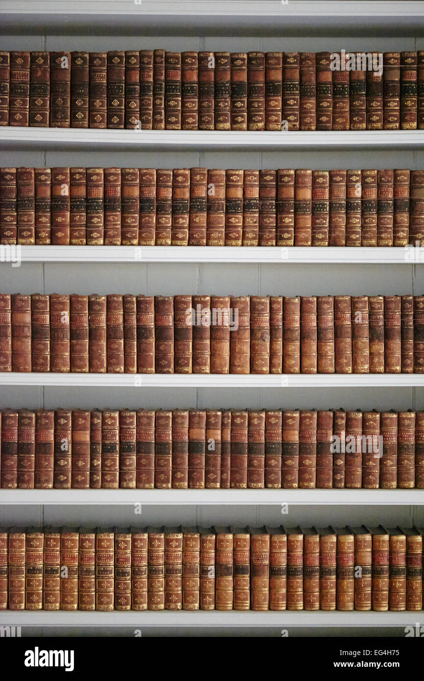Bibliothèque pleine de livres anciens. Banque D'Images