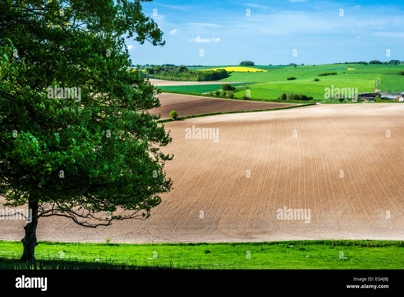 Vue sur les terres agricoles et des paysages variés dans le Wiltshire. Banque D'Images