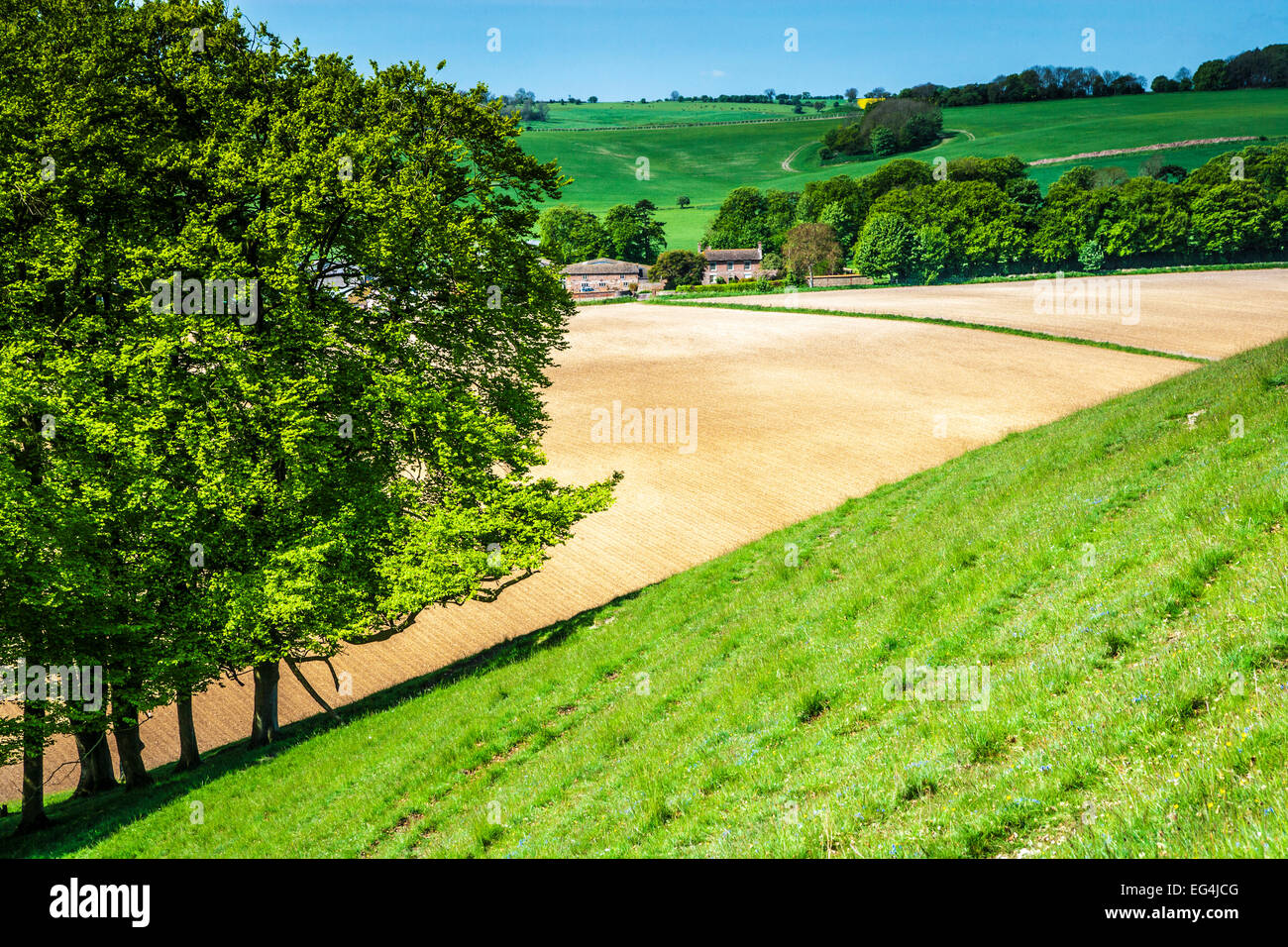 Vue sur les terres agricoles et des paysages variés dans le Wiltshire. Banque D'Images