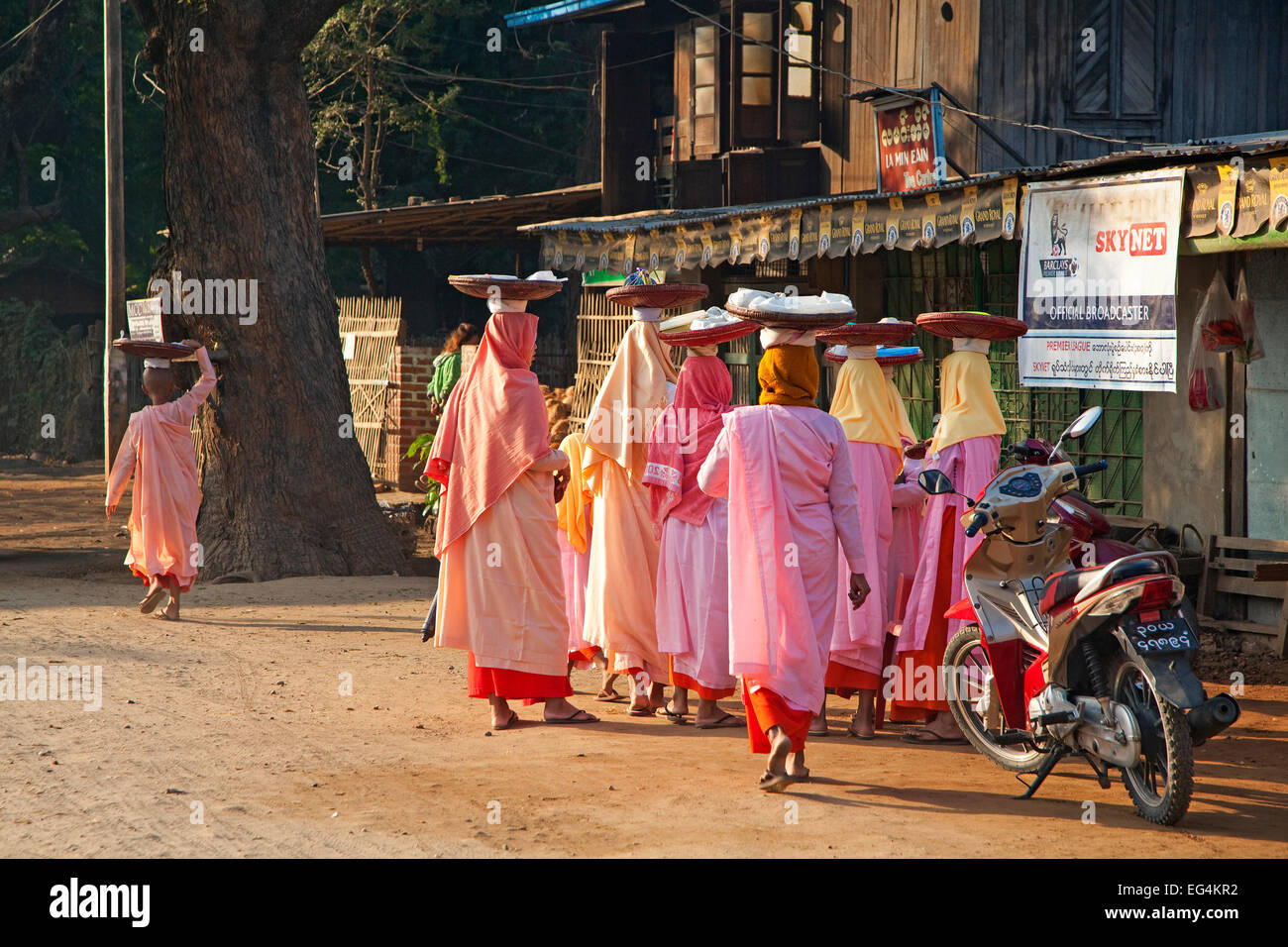 Les nonnes bouddhistes birmans femme vêtue de rose porte à porte la collecte de l'aumône dans la région de Magway, Magwe, Myanmar / Birmanie Banque D'Images