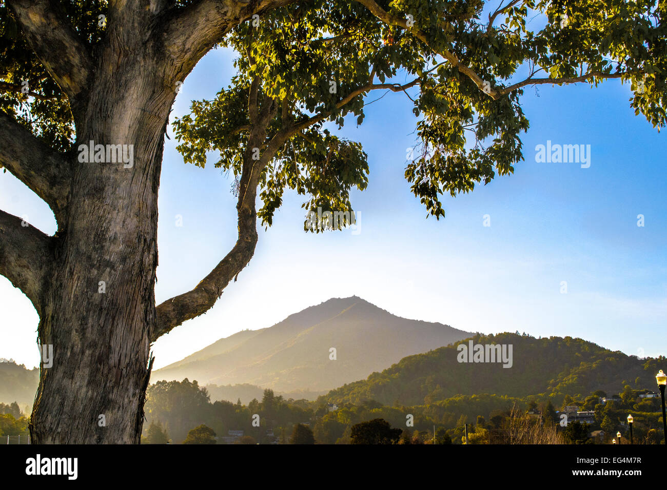 Mill Valley, Californie du nord des montagnes Banque D'Images