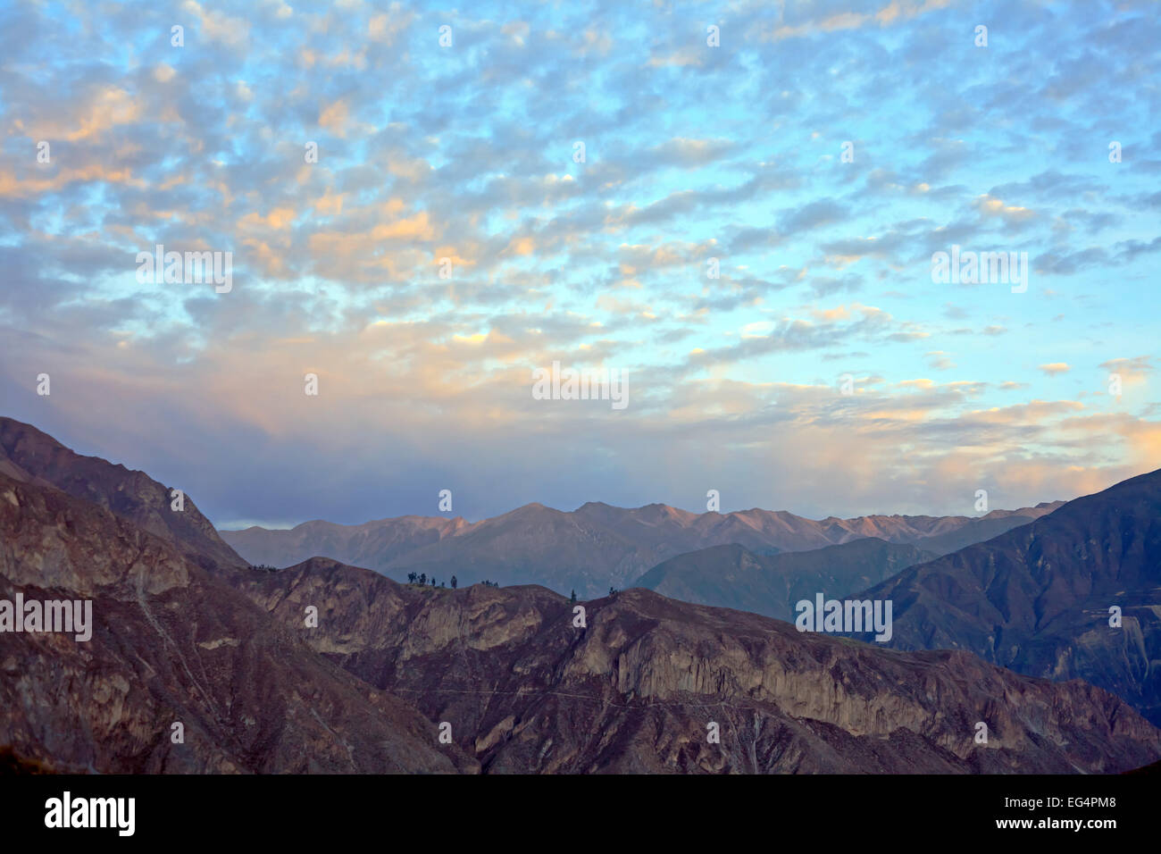 Canyon de Colca Andes Péruviennes Banque D'Images