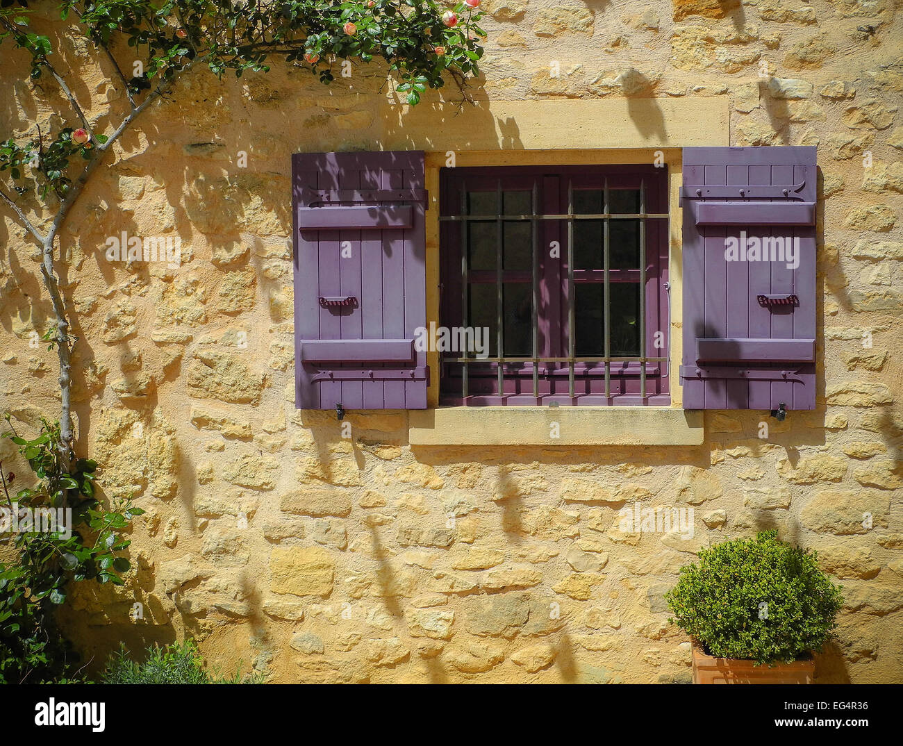 Volets violet sur un Gite jaune Banque D'Images