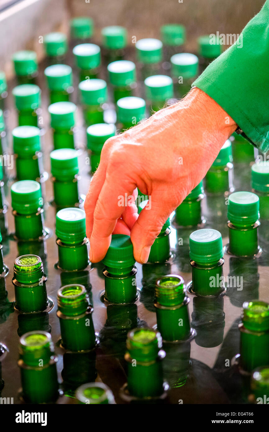 Personne plaçant visser les bouchons bouteilles vert sur la ligne de production Banque D'Images