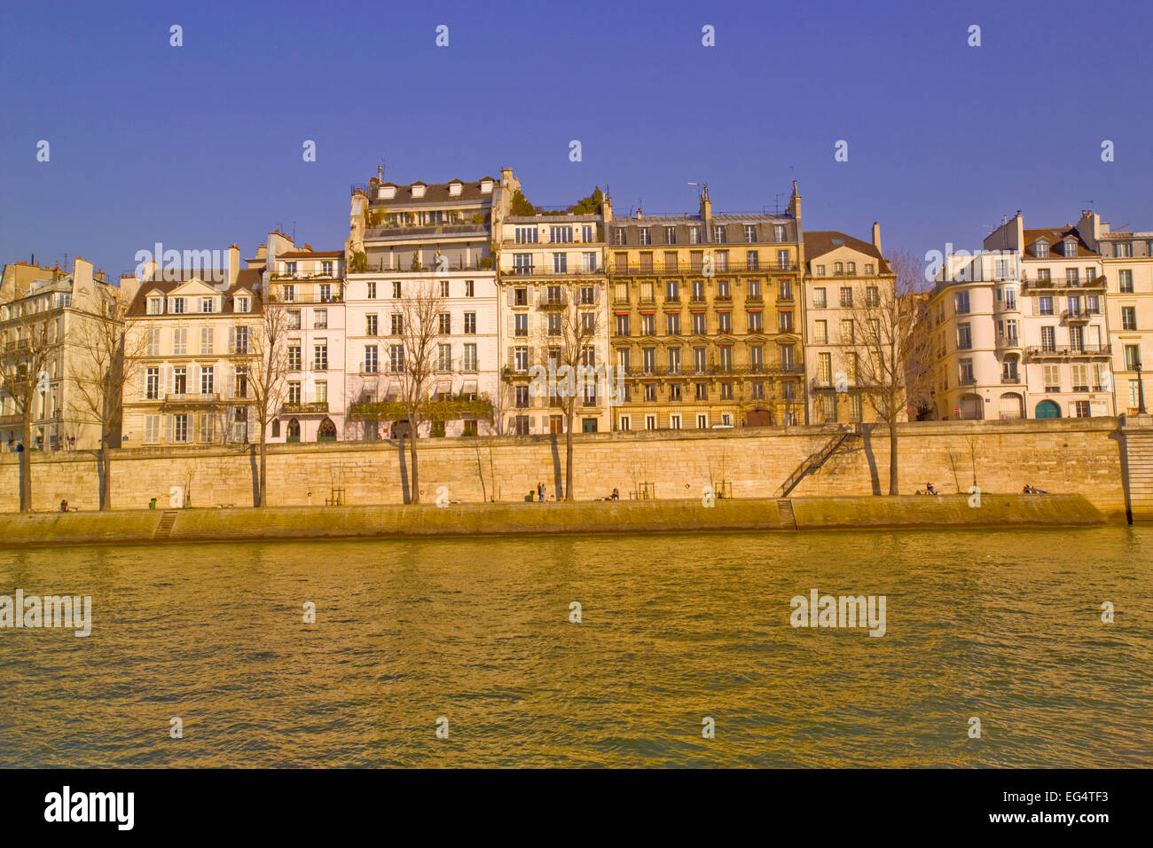 Les maisons sur le Quai de Orleans, de la rive gauche éclairé par la lumière de fin d'après-midi. Banque D'Images