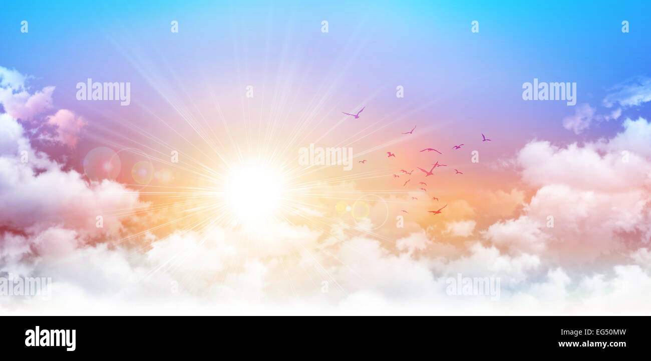 Fond de Ciel matin haute résolution. Soleil levant et d'oiseaux traversant les nuages blancs Banque D'Images
