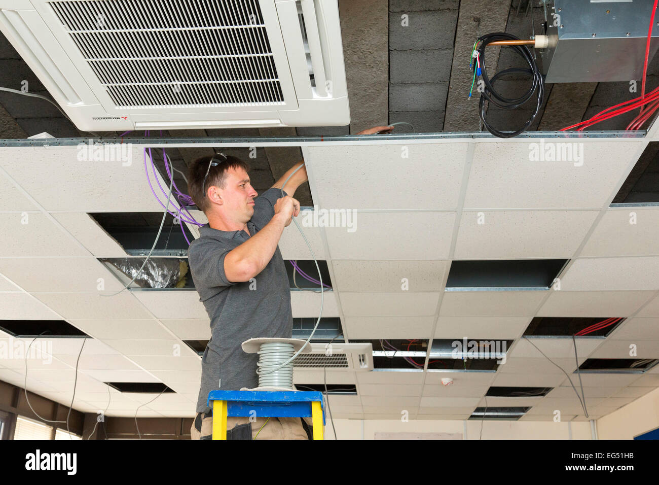 Electricien installation des câbles au-dessus du plafond suspendu Banque D'Images