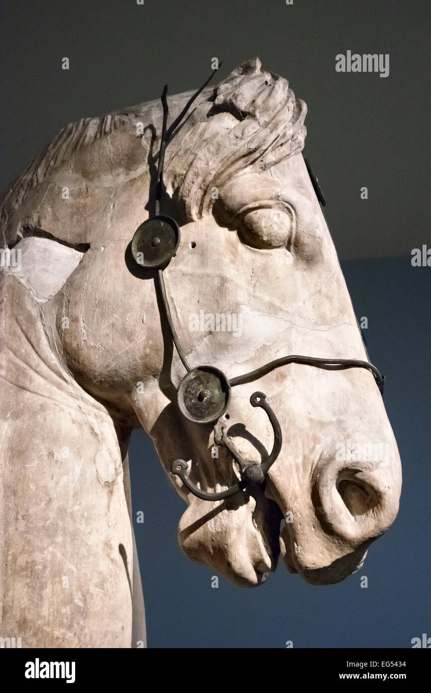 Le British Museum, Londres. Une immense statue de la tête d'un cheval du mausolée d'Halicarnasse (Bodrum), faite vers 350 B.C. Banque D'Images
