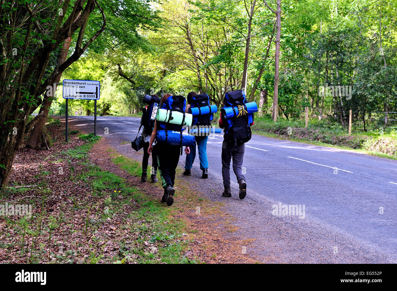 Groupe de filles de trekking à travers la forêt nouvelle Hampshire Banque D'Images