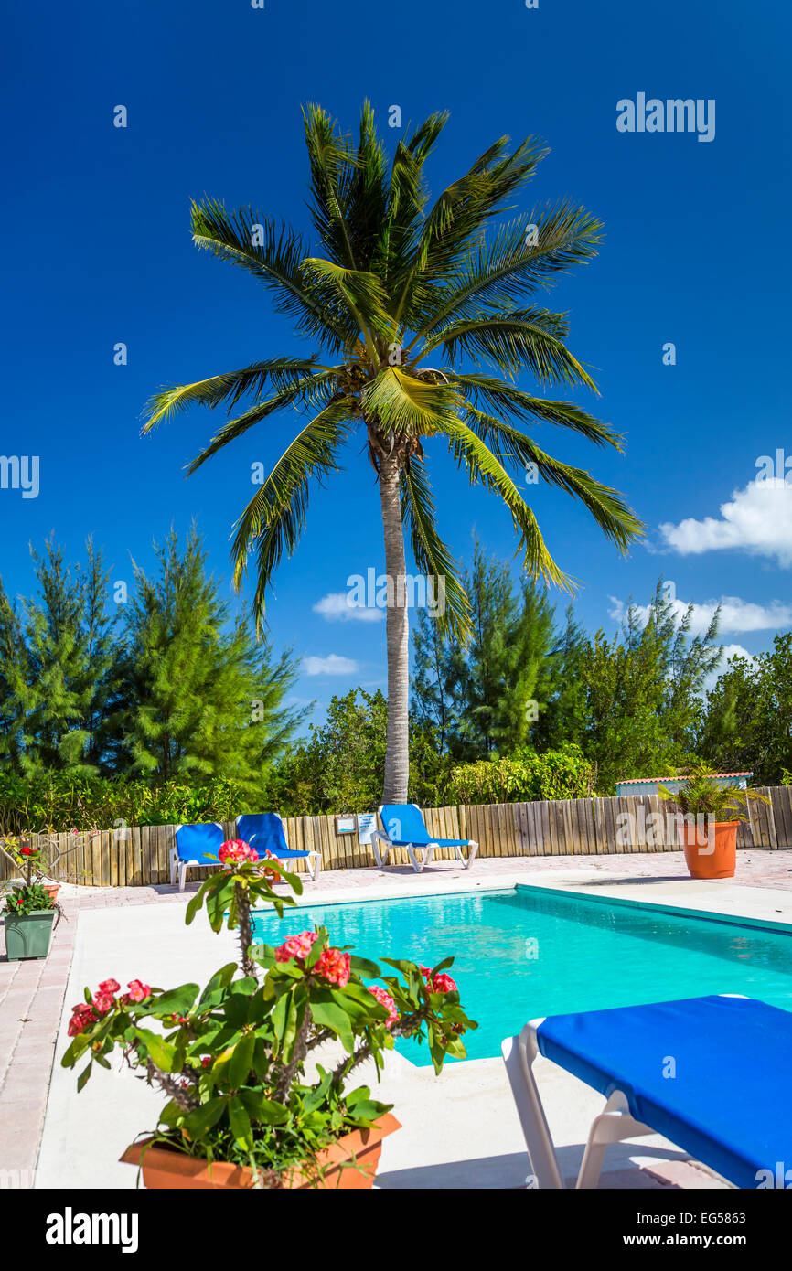 Une piscine extérieure et de palmier sur le Princess Cays, Bahamas, Caraïbes. Banque D'Images