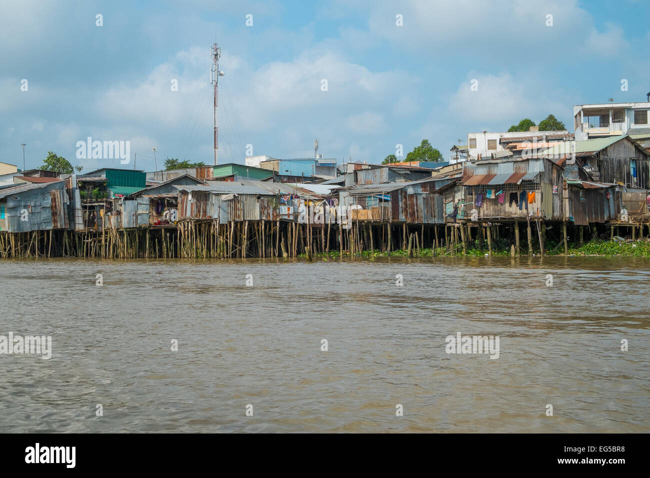 Exécuter les maisons sur la rive du Mékong Le 26 janvier 2014 à Can Tho, Vietnam. Banque D'Images
