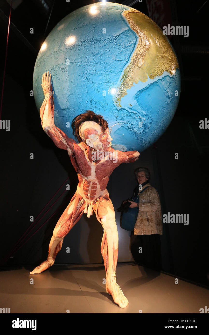 Berlin, Allemagne. Feb 17, 2015. Le plastinate 'Atlas' est sur l'affichage lors de l'ouverture de l'Body-Worlds-musée 'humains Museum' à Berlin, Allemagne, 17 février 2015. Autour de l'ouverture du musée (il s'ouvre pour le public demain), qui affiche les plastinates par von Hagens, un conflit avec le district a pris naissance. PHOTO : STEPHANIE PILICK/dpa/Alamy Live News Banque D'Images
