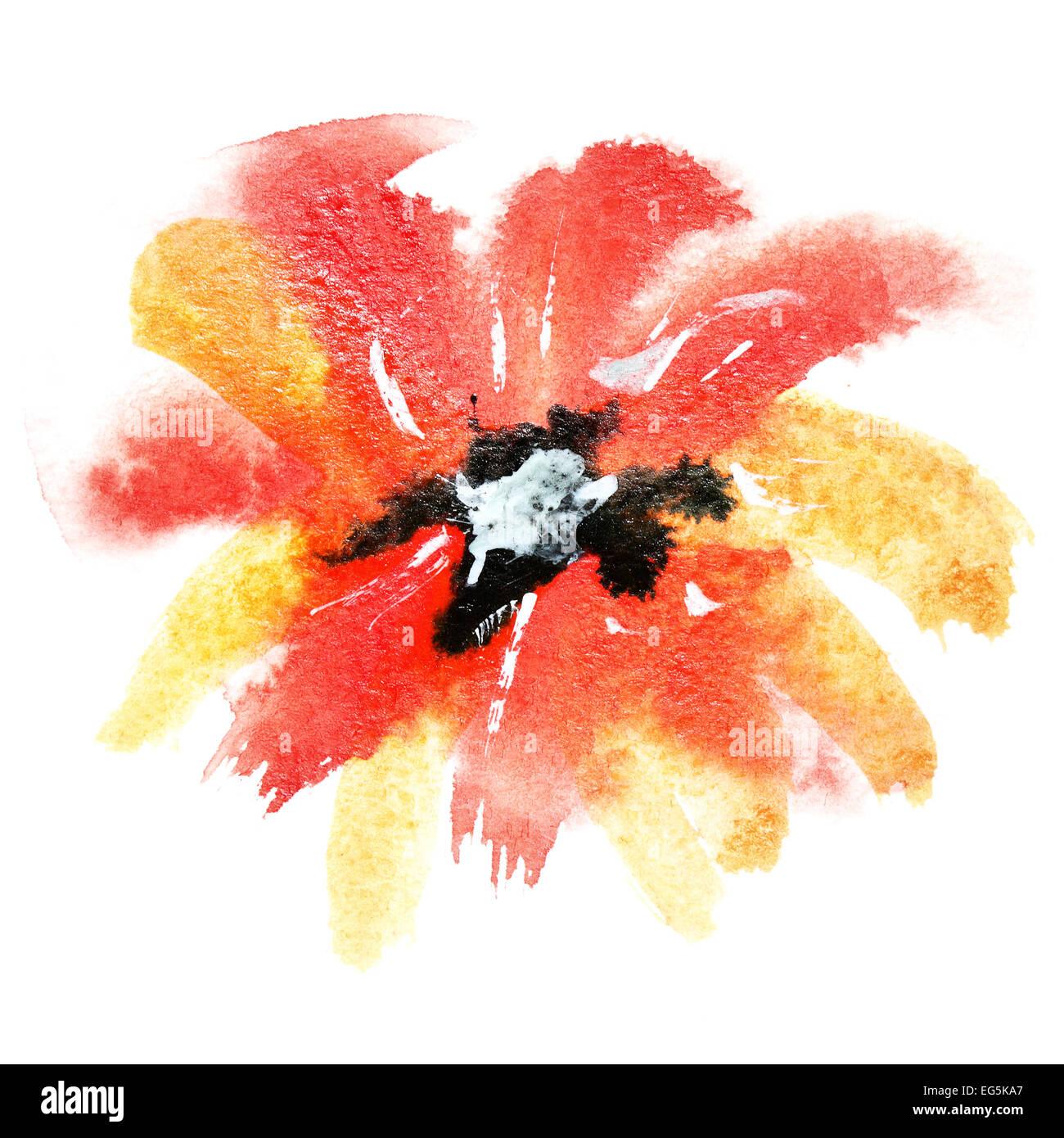 Aquarelle flower isolated sur le fond blanc Banque D'Images