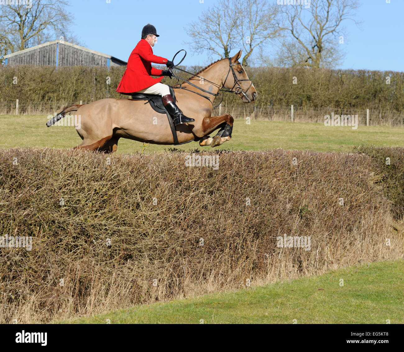 Oakham, UK. 17 Février, 2015. Cottesmore Hunt rencontrez. Suivez maintenant la chasse qui impliquent souvent des sentiers traversant des clôtures et couvertures sur terrain sur lequel partisans ne peuvent normalement ride. Credit : Nico Morgan/Alamy Live News Banque D'Images