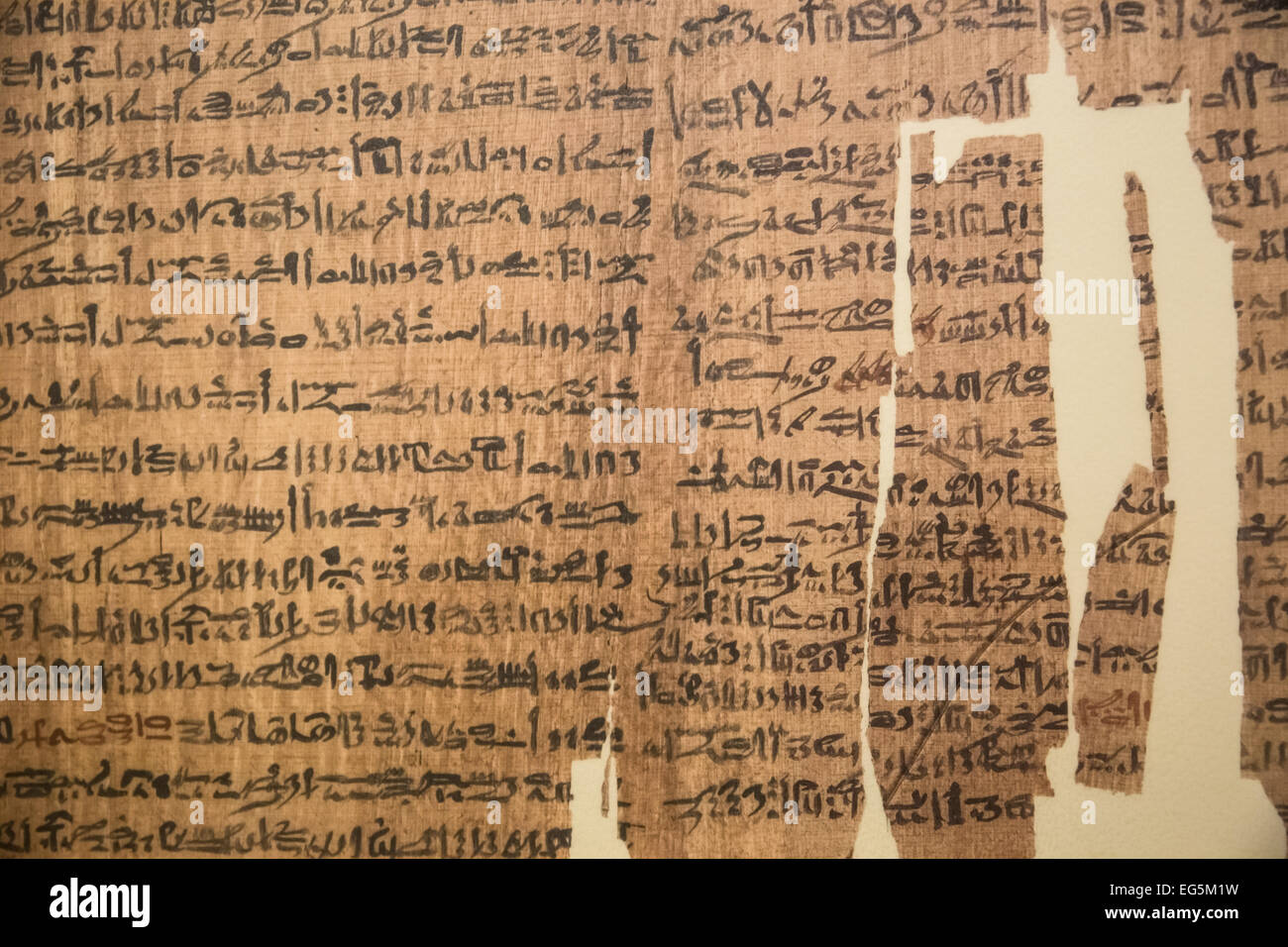 New York City - 28 décembre 2014 : voir l'Égypte ancienne de texte dans le Livre des Morts Banque D'Images