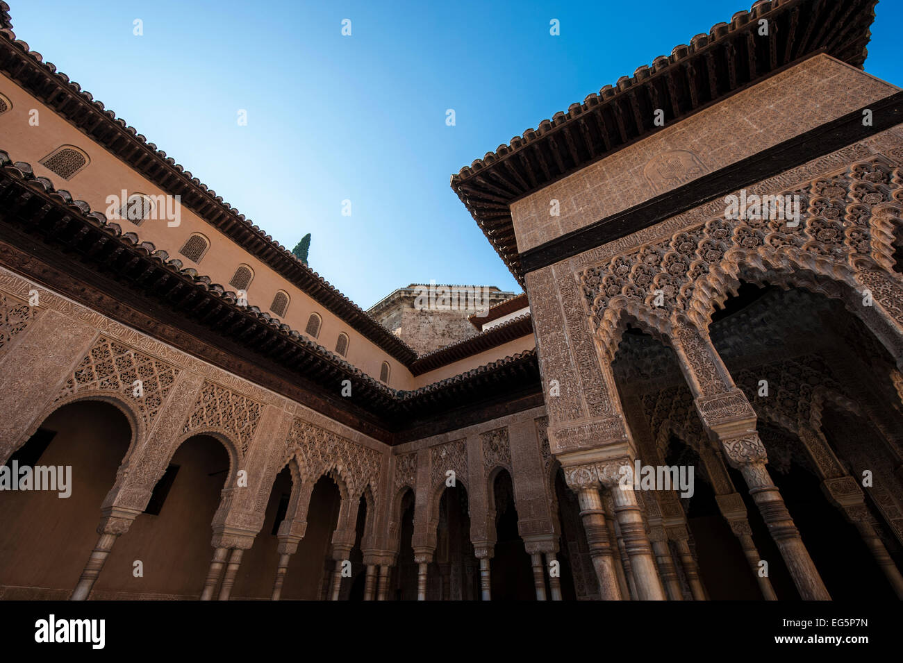 Cour des Lions, la cour principale de la dynastie Nasride Palais des Lions, au cœur de l'Alhambra, Grenade. Banque D'Images