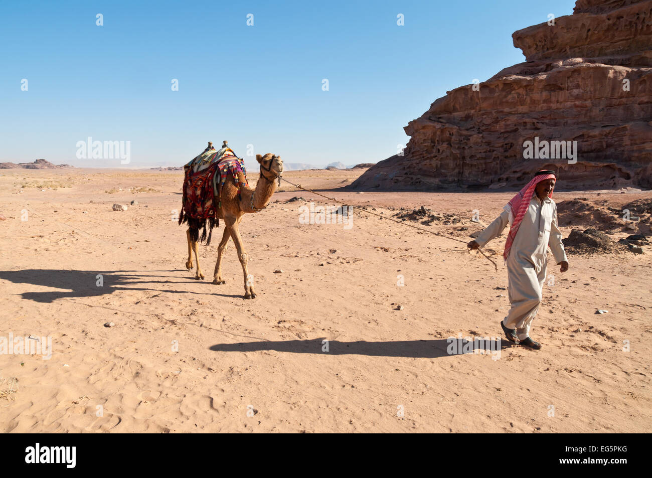Camel et gestionnaire d'Arabes bédouins (man) à pied dans le désert Banque D'Images