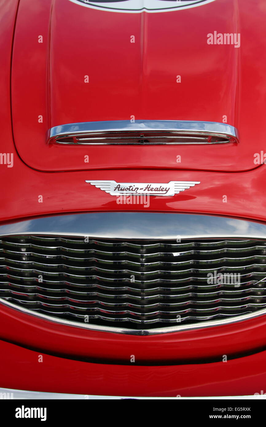 Capot avant, radiateur et d'un insigne d'une Austin Healey voiture de sport. Banque D'Images