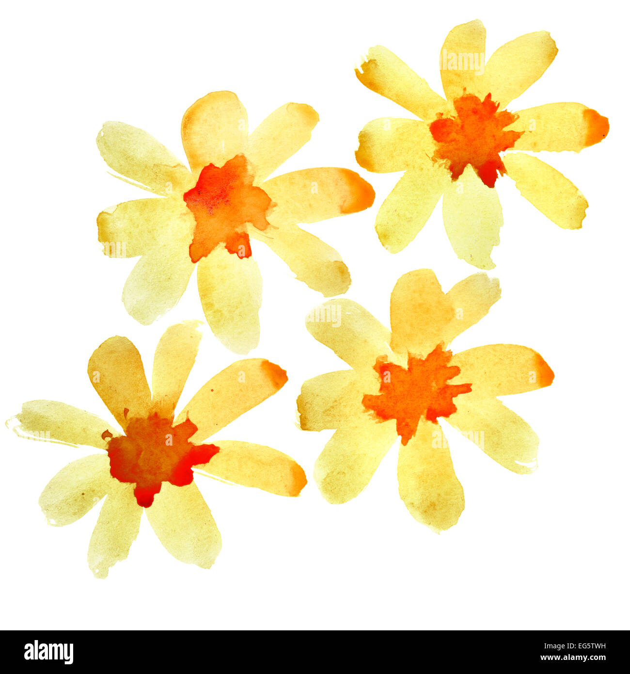 Fleurs aquarelle jaune sur l'isolé sur fond blanc Banque D'Images