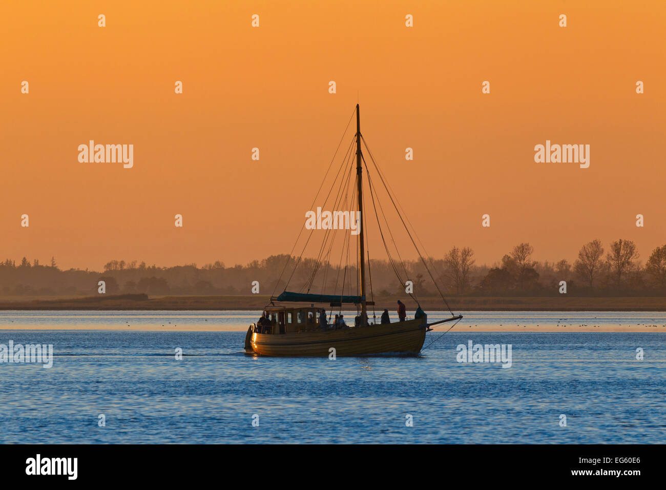 Bavaria 50 / Zeesen voile au coucher du soleil, bateau de pêche traditionnel utilisé dans la région de Bodden, Parc National de Vorpommern, occidentale, Allemagne Banque D'Images