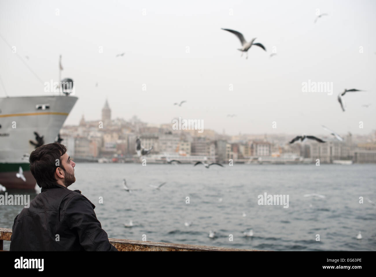 Tour de Galata Seagulls Eminonu Waterfront Istanbul // ISTANBUL, Turquie — Un homme nourrit des mouettes sur le front de mer d'Eminonu le long de la Corne d'Or, avec la Tour historique de Galata visible en arrière-plan. La Tour de Galata, construite par les Génois en 1348, est une tour médiévale en pierre qui s'élève à 67 mètres (220 pieds) au-dessus du quartier de Galata à Beyoglu. Le quartier d'Eminonu est l'un des quartiers commerciaux les plus fréquentés d'Istanbul, situé sur le côté européen de la ville où la Corne d'Or rencontre le Bosphore. La zone riveraine est connue pour ses terminaux de traversiers, ses marchés aux poissons et ses vendeurs de rue. Les mouettes sont COM Banque D'Images