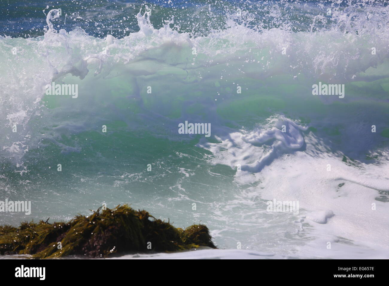 L’océan Banque D'Images