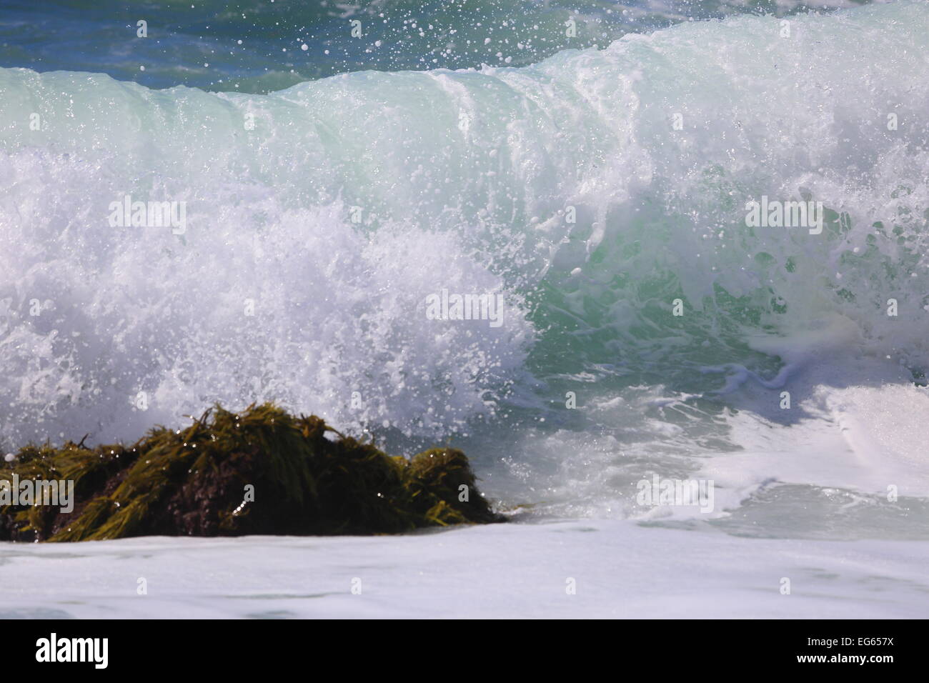 L’océan Banque D'Images