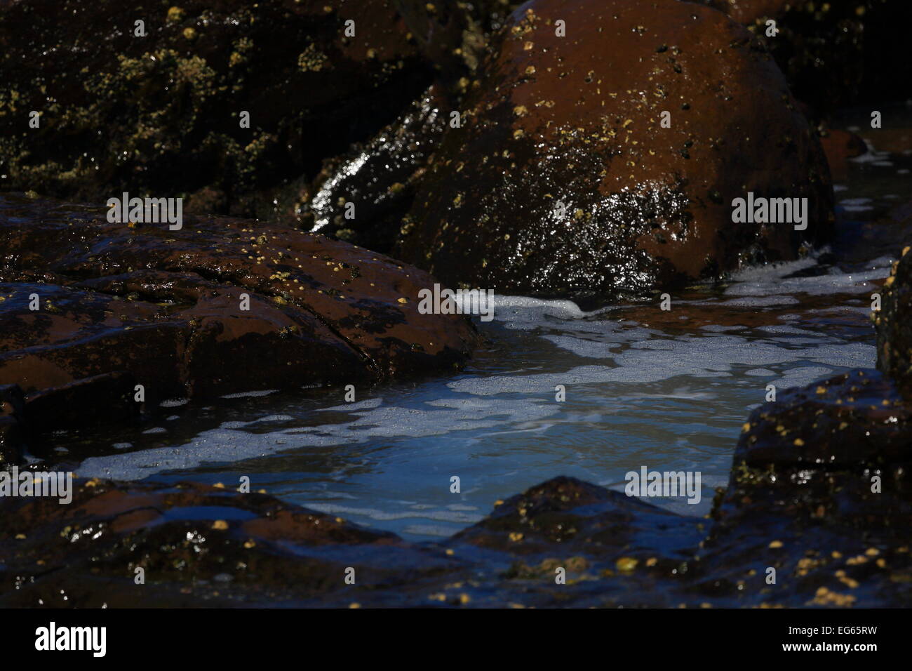 L’océan Banque D'Images