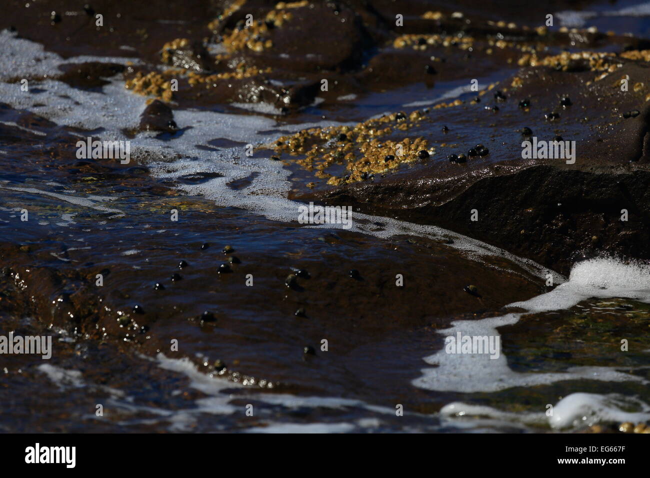 L’océan Banque D'Images