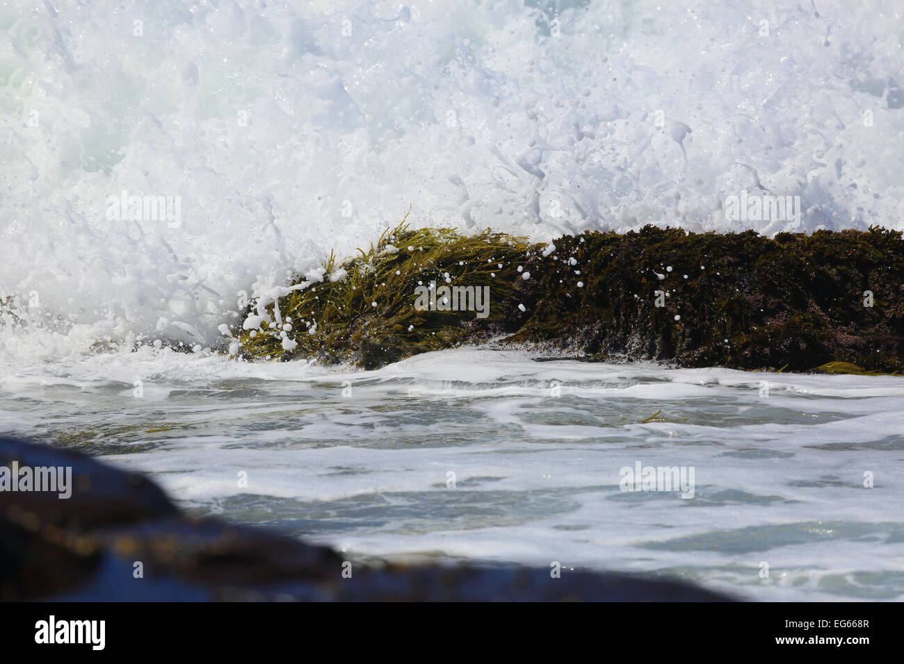 L’océan Banque D'Images