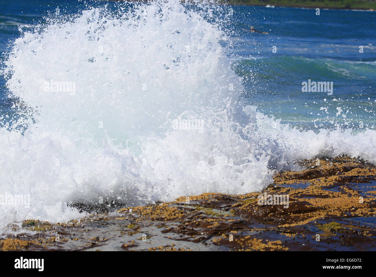 Plages et des surfeurs australiens Banque D'Images