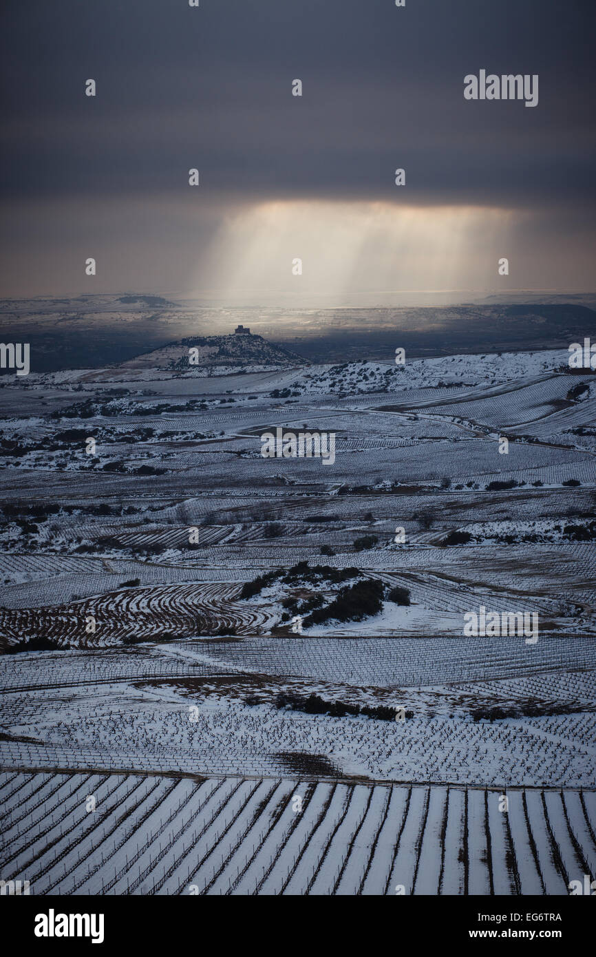 8/2/15 La neige Rioja vignobles près Davalillo château, San Asensio, La Rioja, Espagne. Photo de James Sturcke. Banque D'Images