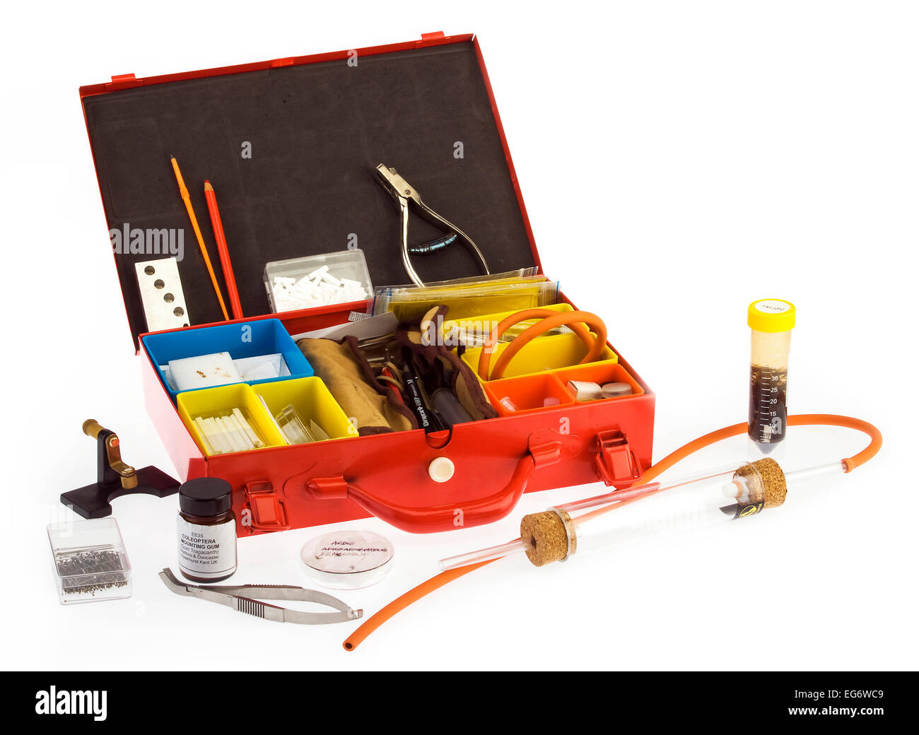 La boîte à outils de l'entomologiste Banque D'Images