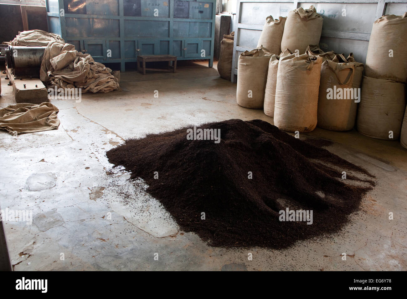 Tas de thé fraîchement séché en attente d'être ensachés prêts pour l'exportation d'une usine de thé, Munnar, India Banque D'Images