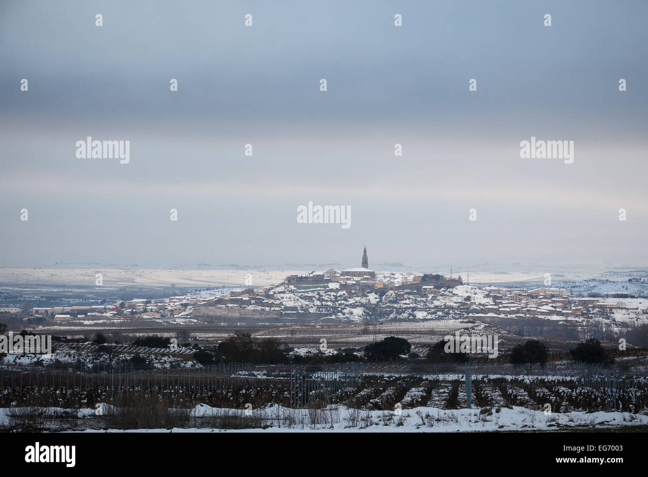 8/2/15 La neige Rioja vignobles près Briones, La Rioja, Espagne. Photo de James Sturcke. Banque D'Images