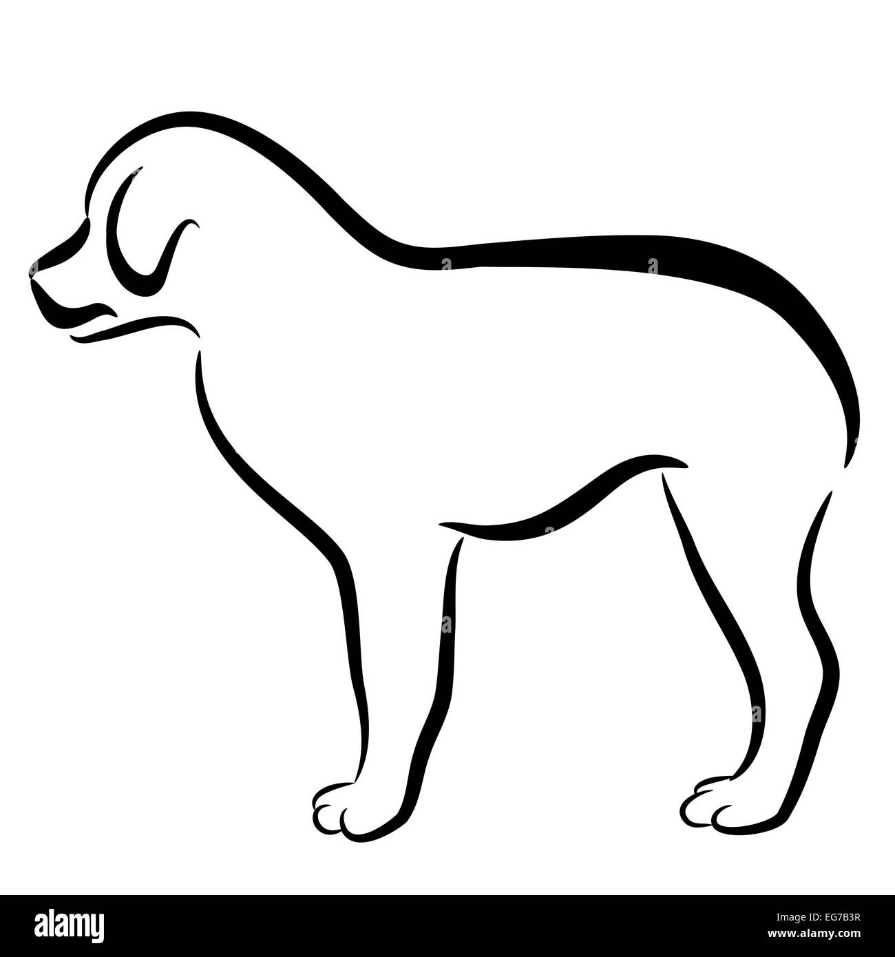L'image d'un chien border collie élégant résumé profil. Banque D'Images