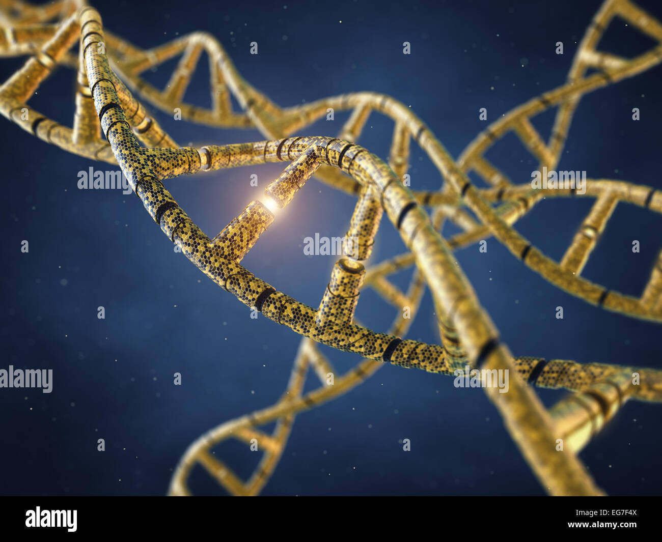 Les molécules d'ADN génétiquement modifié , génie génétique , OGM Banque D'Images