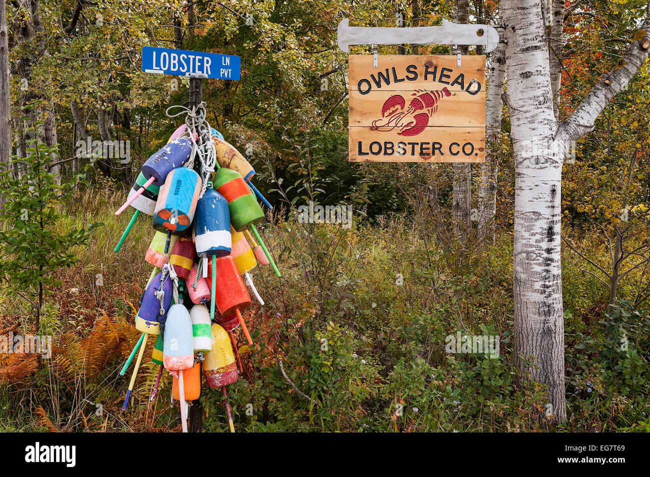 Les bouées de homard, Owls Head, Maine, USA. Banque D'Images