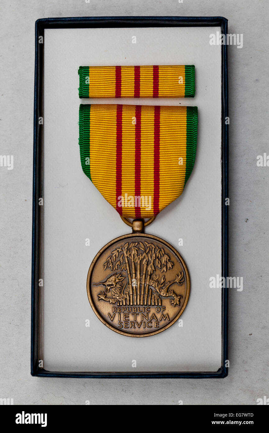United States Military Vietnam Service medal set Banque D'Images