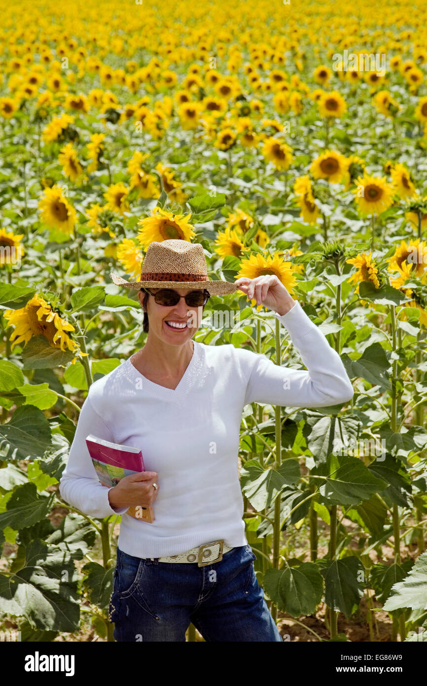 Femme dans un champ de tournesols mujer en un campo de girasoles Banque D'Images