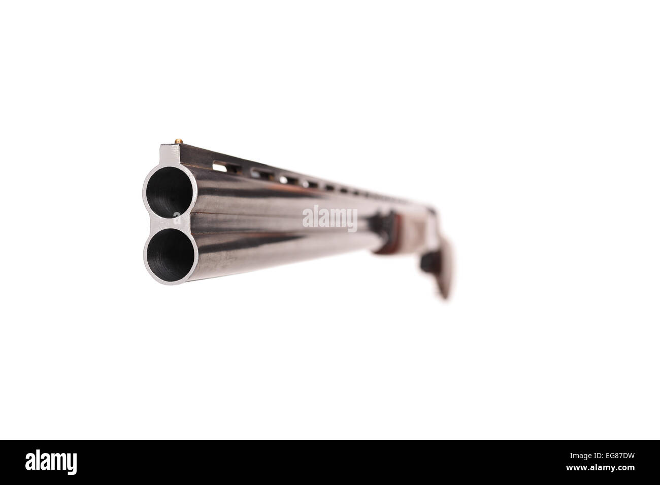 Portrait d'un fusil de chasse carabine isolé sur fond blanc Banque D'Images
