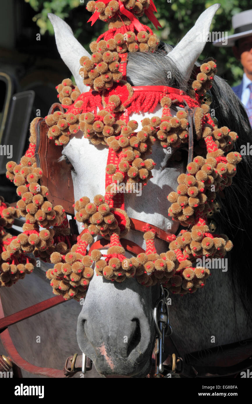 Espagne, Andalousie, Séville, juste, feria de abril, cheval, Banque D'Images