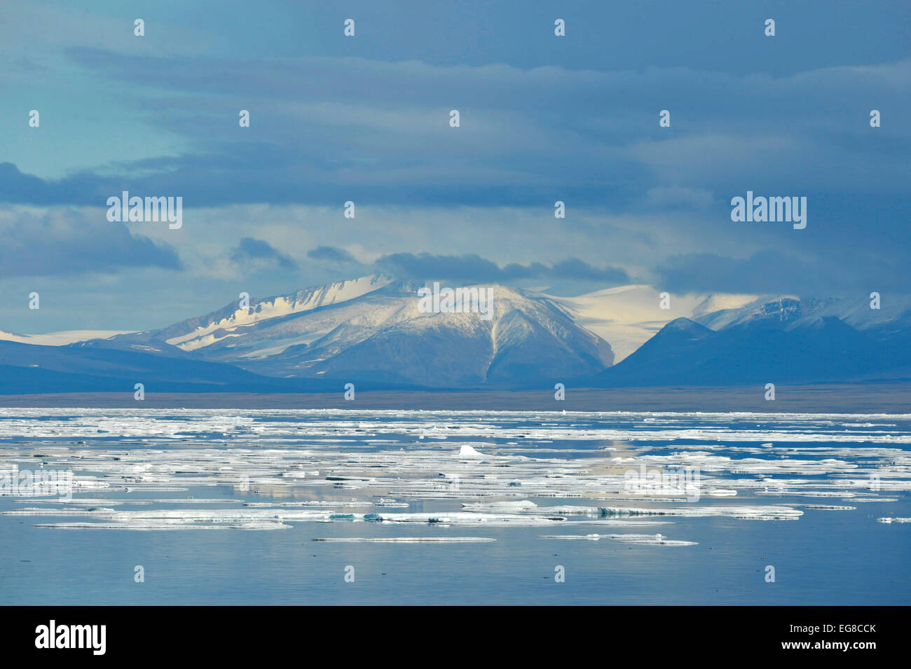 L'île de Baffin, Nunavut, Canada, montrant les glaces de mer, Août Banque D'Images