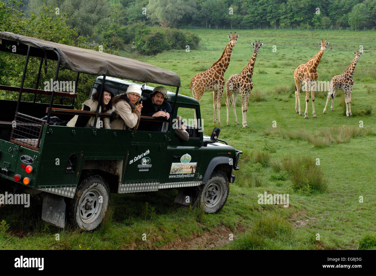 Photos de l'ouverture récente de la 'Images de l'ouverture récente de l'expérience de l'Afrique '' Port Lympne Wild Animal Park Kent. Banque D'Images