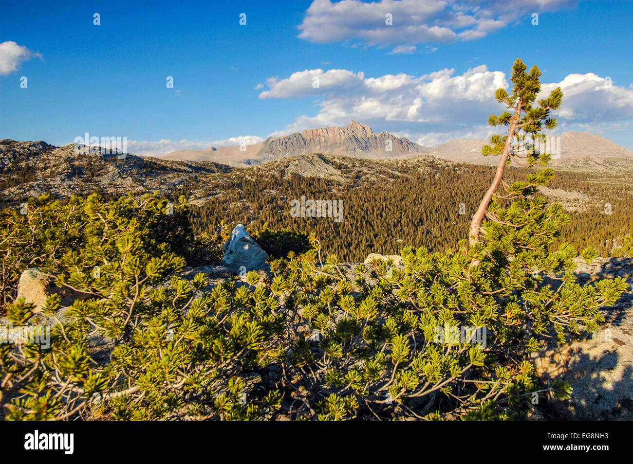 Humphreys peak et du bassin à la timberline oublier dans la Sierra Nevada en Californie, haut pays. Banque D'Images