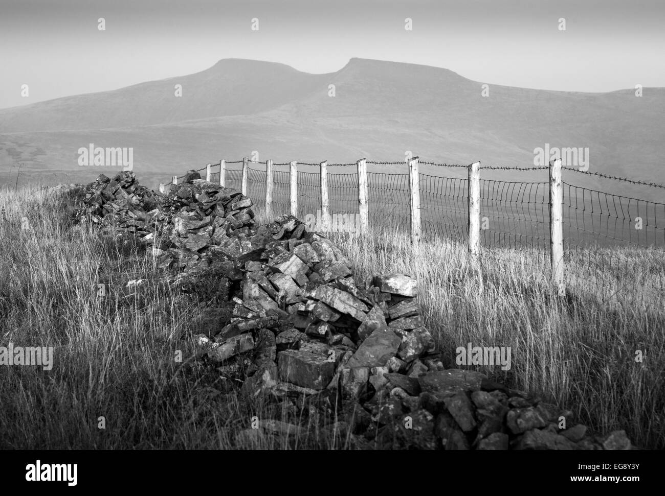 Aux limites de la propriété et de tomber sur le mur de pierres sèches haut de Frynych Ventilateur Hill dans le parc national de Brecon Beacons avec montagnes derrière Banque D'Images