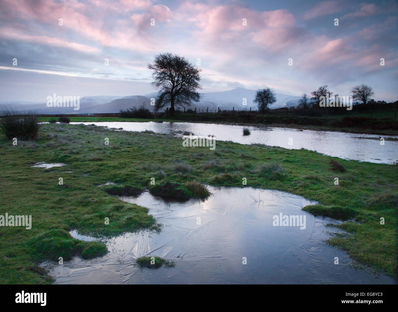 Piscine d'hiver avec de la glace, dans la lumière du matin sur le Mynydd Illtud commun dans le parc national de Brecon Beacons, le Pays de Galles Banque D'Images